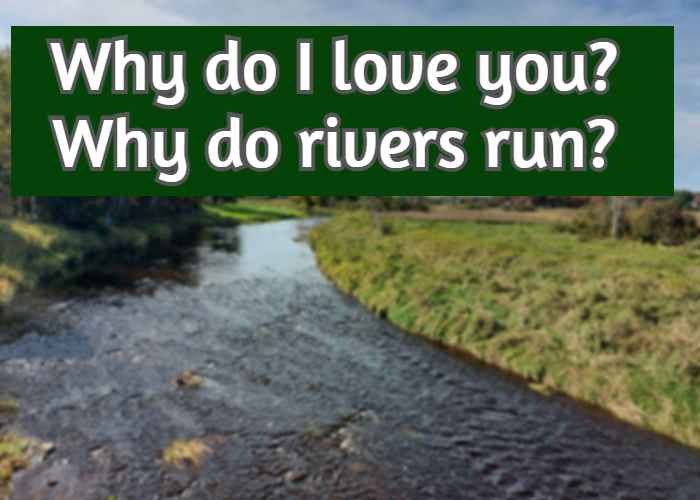 Why do I love you? Why do rivers run?