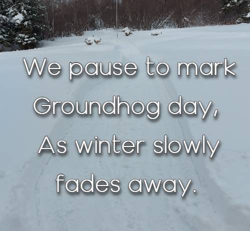 we pause to mark Groundhog day, As winter slowly fades away.