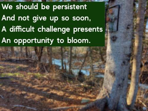 We should be persistent And not give up so soon, A difficult challenge presents An opportunity to bloom.