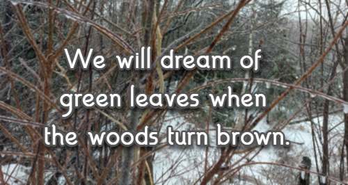 We will dream of green leaves when the woods turn brown.