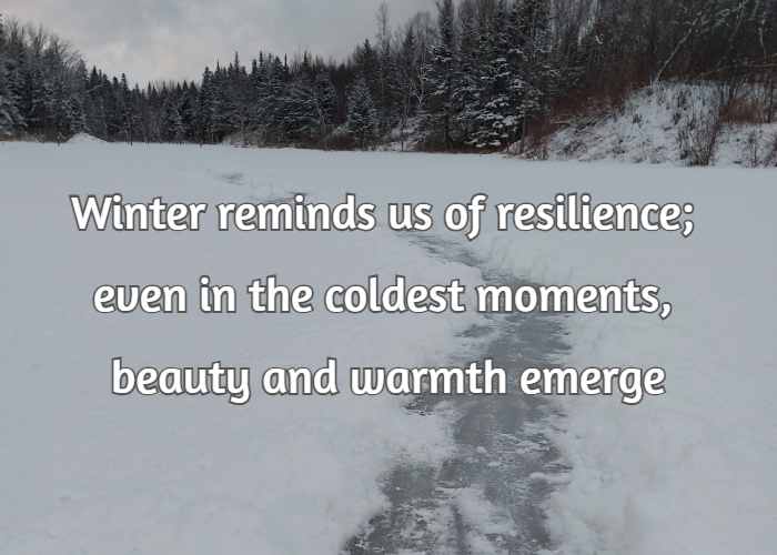 Winter reminds us of resilience; even in the coldest moments, beauty and warmth emerge