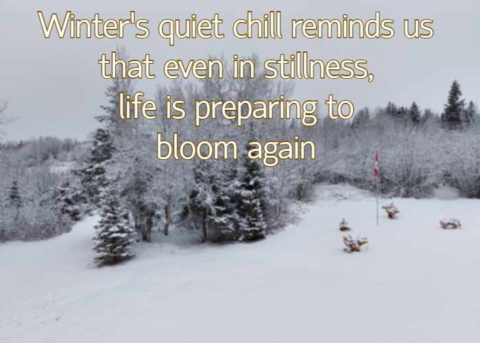 Winter’s quiet chill reminds us that even in stillness, life is preparing to bloom again