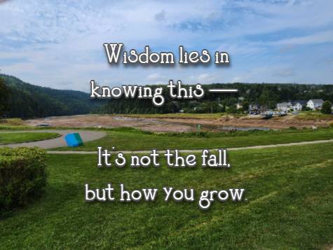 Wisdom lies in knowing this — It’s not the fall, but how you grow.