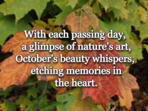 With each passing day, a glimpse of nature's art, October's beauty whispers, etching memories in the heart.