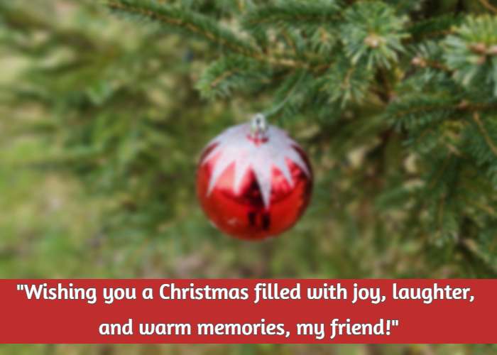 Wishing you a Christmas filled with joy, laughter, and warm memories, my friend!