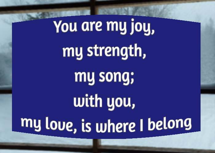 You are my joy, my strength, my song; with you, my love, is where I belong.