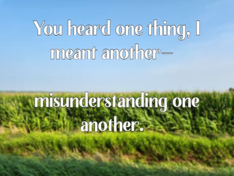 You heard one thing, I meant another— misunderstanding one another.