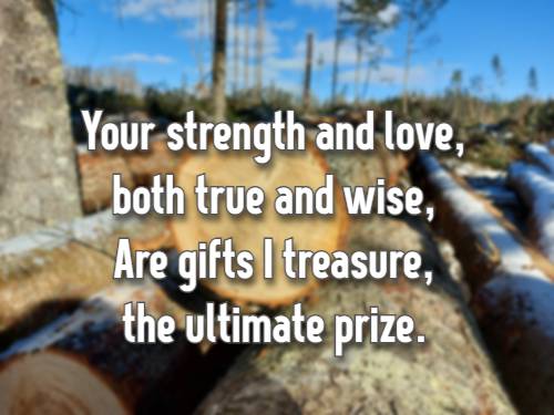 Your strength and love, both true and wise, Are gifts I treasure, the ultimate prize. 