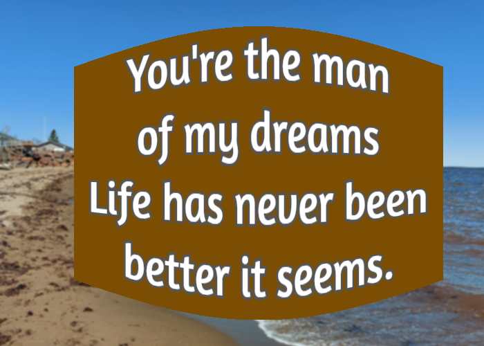 You're the man of my dreams Life has never been better it seems.