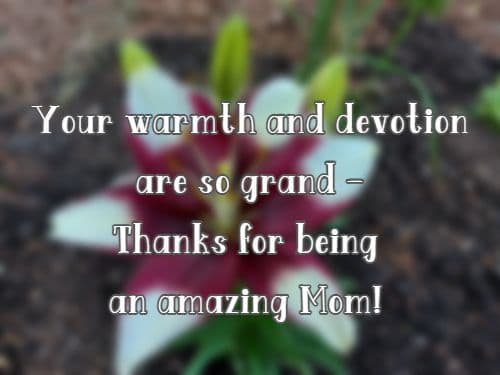 Your warmth and devotion are so grand - Thanks for being an amazing Mom!