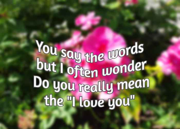 You say the words but I often wonder Do you really mean the I love you 