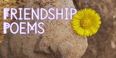 friendship poems