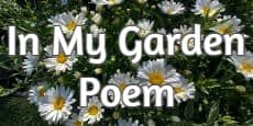 In My Garden Poem, 7 Short Poems