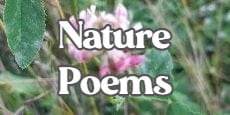 Nature poems