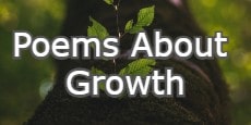 Poems About Growth