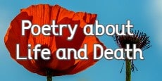 poetry about life and death