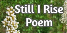 Still I Rise Poem