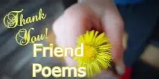 thank you for your friendship poems