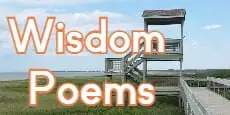 Poems, Quotes, and the Life Lessons They Represent: Verses of Wisdom,  Reflections of Life's Lessons in poems and quotes: Chase, Spencer:  9798856145730: : Books